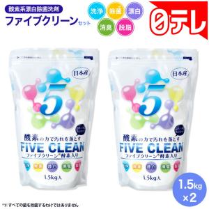 酸素系漂白除菌洗剤ファイブクリーンセット 日テ...の詳細画像1