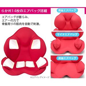 芦屋美整体 骨盤スリムスタイリーエアー 日テレポシュレ 日本テレビ 通販 ポシュレ Prettyfunnyballoons Com