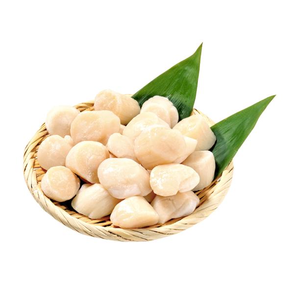 オホーツク産ジャンボ生ほたて貝柱500g 日テレポシュレ(日本テレビ 通販 ポシュレ)