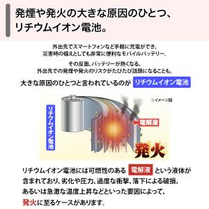 BigBlue 全固体モバイルバッテリー100...の詳細画像4