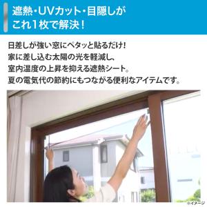 セキスイ 遮熱クールアッププラス2枚組 通販王...の詳細画像3