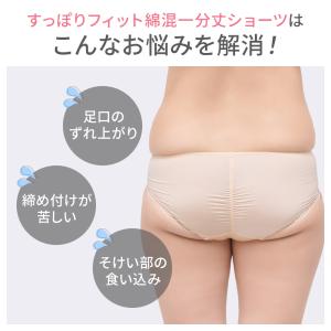 ブラデリスニューヨーク ショーツレディース ブ...の詳細画像2