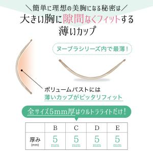 ヌーブラ 大きいサイズ 盛れる つけ方 胸を小...の詳細画像2