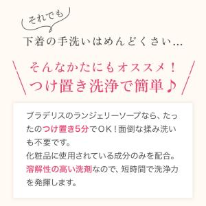 ランジェリー用洗剤 下着用洗剤 ブラデリスニュ...の詳細画像5