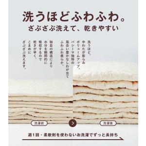 ZIP!でパシーマが紹介されました! パシーマ...の詳細画像5