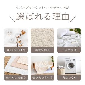 イブルブランケット マルチケット 綿100% ...の詳細画像3