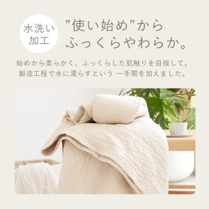 敷きパッド イブル ラグ 綿100% マルチケ...の詳細画像5