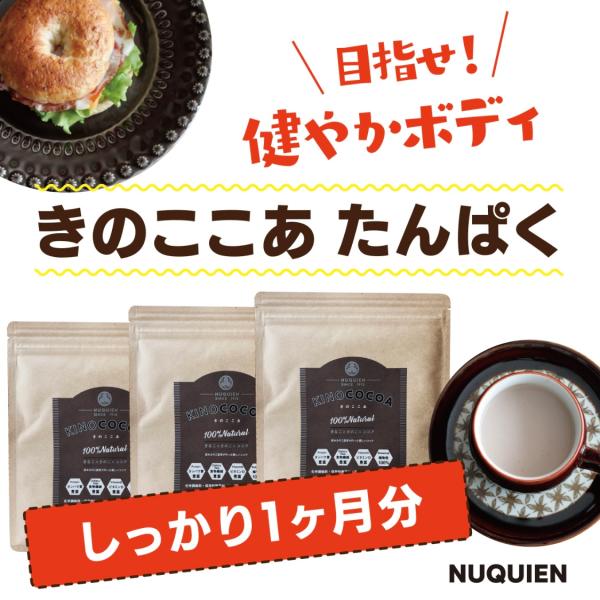 送料無料　しっかり30日分　ダイエットココア［きのここあ］　きな粉　食物繊維　タンパク質