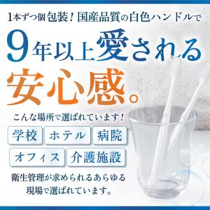 歯ブラシ 業務用 粉なし 500本 使い捨て ...の詳細画像1
