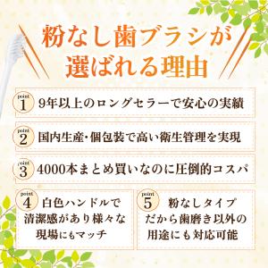 歯ブラシ 業務用 粉なし 500本 使い捨て ...の詳細画像3