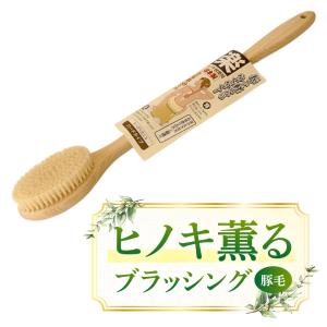 ボディブラシ 豚毛 ロング丈 50cm ハード 硬め ブラッシング