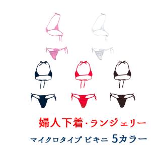 下着 ランジェリー マイクロ ビキニ フリーサイ...の商品画像