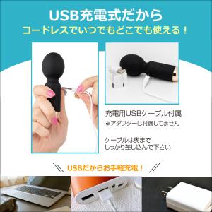電動 マッサージ器 an アン Sサイズ 振動...の詳細画像3