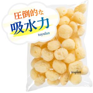 海綿 ドラッグストア スポンジ 天然 シルクサイズ9 特大 8〜9cm 大粒2