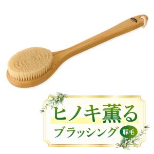 ボディブラシ 豚毛 Ｌ 35cm ハード 硬め ブラッシング 美容 美肌 洗体 風呂 セルライト 角質 リンパ 血行 エステ マッサージ 入院 施設 檜材 倉庫直送