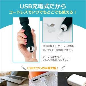 電動 マッサージ器 an アン Lサイズ 振動...の詳細画像3