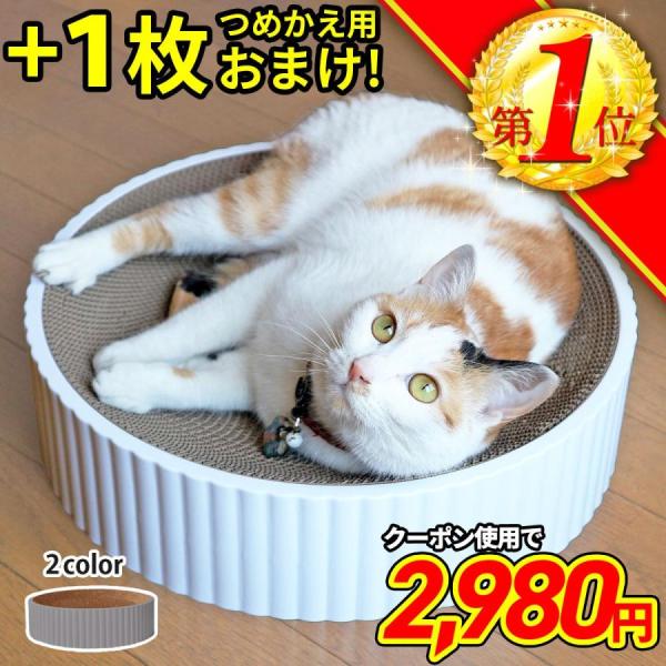 猫 ネコ ねこ おもちゃ ベッド 爪とぎ 一人遊び 玩具 プラスチック 爪研ぎ ダンボール 段ボール...