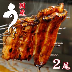 国産うなぎ　手焼き　国産鰻蒲焼2尾　送料無料　冷蔵クール便　ギフト　お祝い　誕生日　贈りもの