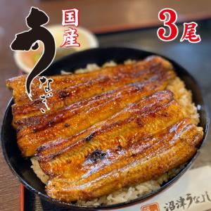 国産うなぎ　手焼き　国産鰻蒲焼3尾　送料無料　冷蔵クール便　ギフト　お祝い　誕生日　贈りもの