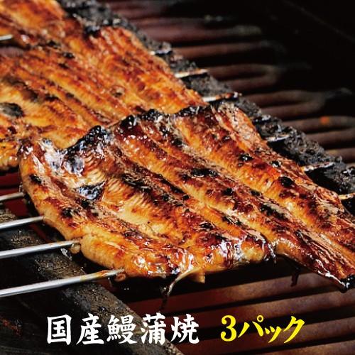 お値打ちサイズ　国産鰻蒲焼３パック　手焼き　送料無料　冷蔵クール便　ギフト　お祝い　誕生日　贈りもの