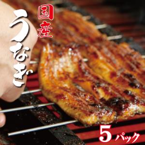 お値打ちサイズ　国産鰻蒲焼５パック　手焼き　送料無料　冷蔵クール便　ギフト　お祝い　誕生日　贈りもの