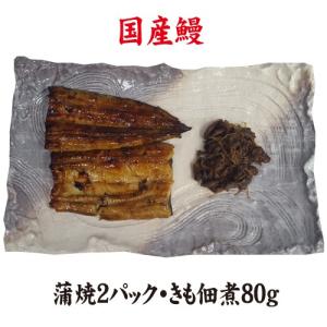 お値打ちサイズ蒲焼２パック・きも佃煮１００ｇ　送料無料　国産うなぎ　冷蔵クール便