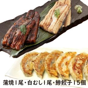 蒲焼・白むし・鯵餃子の３種類　蒲焼１尾・白むし１尾・あじぎょん１５個　冷凍クール便　送料無料　国産うなぎ　ギフト　お祝い　誕生日　贈りもの｜numazu-unayoshi