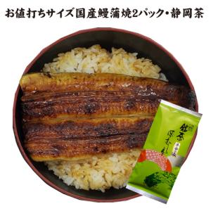 しずおかセット　お値打ちサイズ蒲焼２パック・深蒸し茶１００ｇ　送料無料　静岡茶　冷蔵クール便　国産うなぎ　ギフト　お祝い　誕生日
