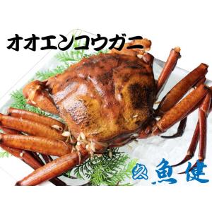 沼津港 魚健 カニ エビ Yahoo ショッピング