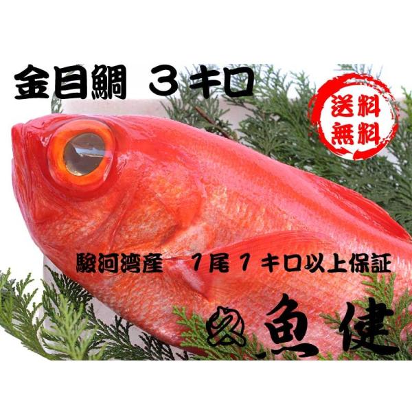 【３キロ保証】丸ごと二・三尾金目鯛（静岡県産）お刺身・煮付・業務用