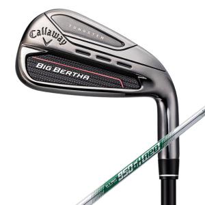 キャロウェイ 2023 BIG BERTHA アイアン　5本セット（I#6-9,PW） 日本仕様 N.S.PRO 950GH neo（S）スチールシャフト｜number7