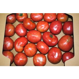 【訳あり！】愛媛県産　トマト　４kg