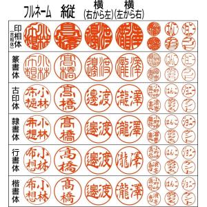 オランダ水牛 はんこ 印鑑 ケース付き 朱肉付...の詳細画像4
