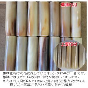 オランダ水牛 はんこ 印鑑 ケース付き 朱肉付...の詳細画像3