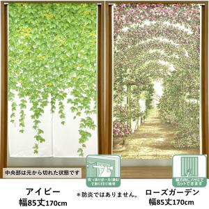 のれん 防炎 (一部) 遮光 (一部) レース...の詳細画像5