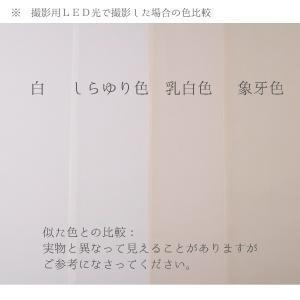 無地一越ちりめん(白) 10cm単位 切り売りの詳細画像4