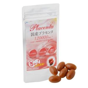プラセンタ 国産 60粒（30日分）日本ハム 布亀漢方薬局 高純度