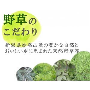 飲む酢 補酵素のちから 1800ml 野草源酵...の詳細画像3