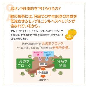 中性脂肪 お茶 佐藤園 健康茶 緑の搾茶 4g...の詳細画像3