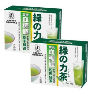 佐藤園 トクホ 健康茶 緑の力茶 血糖値 2個セット 6g×30包×2箱 特定保健用食品