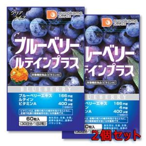サプリメント ブルーベリー ルテインプラス 60粒 布亀 爆買 : 布亀