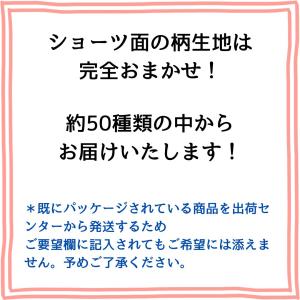 布ライナーS 3枚セット オーガニック おりも...の詳細画像5
