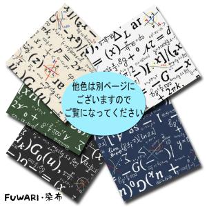 FUWARI 染布 オックス 第2弾 数式 生...の詳細画像3