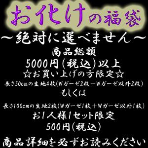 お化けの福袋 商品総額5000円(税込)以上お買...の商品画像