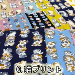 送料無料 福袋 100cmサイズ 選べるアソー...の詳細画像3