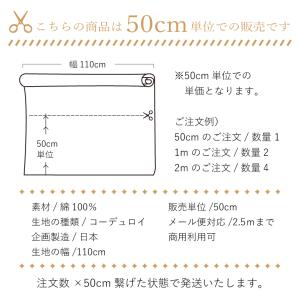 遠州産コーデュロイ 21w シャツコール 無地...の詳細画像4