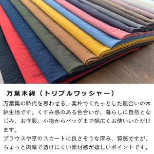 【カラーサンプル】生地 布 万葉木綿 キャンバ...の詳細画像1