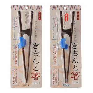 箸 持ち方 矯正 矯正箸 はし上手 大人用 き...の詳細画像1