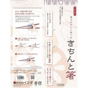 箸 持ち方 矯正 矯正箸 はし上手 大人用 き...の詳細画像4