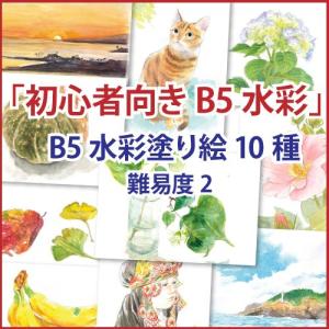 「初心者向き」B5水彩 10種セット｜nurie-tsuhan